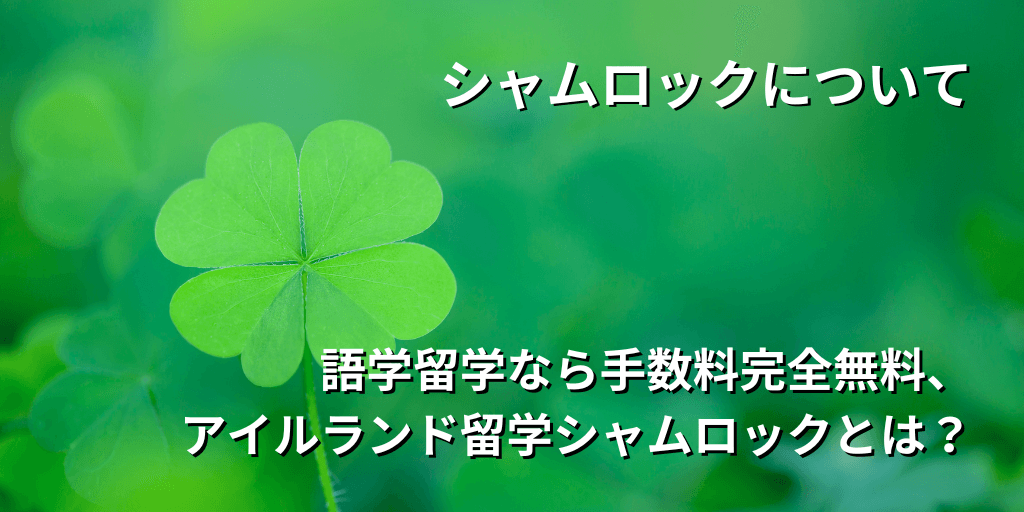 シャムロックについて