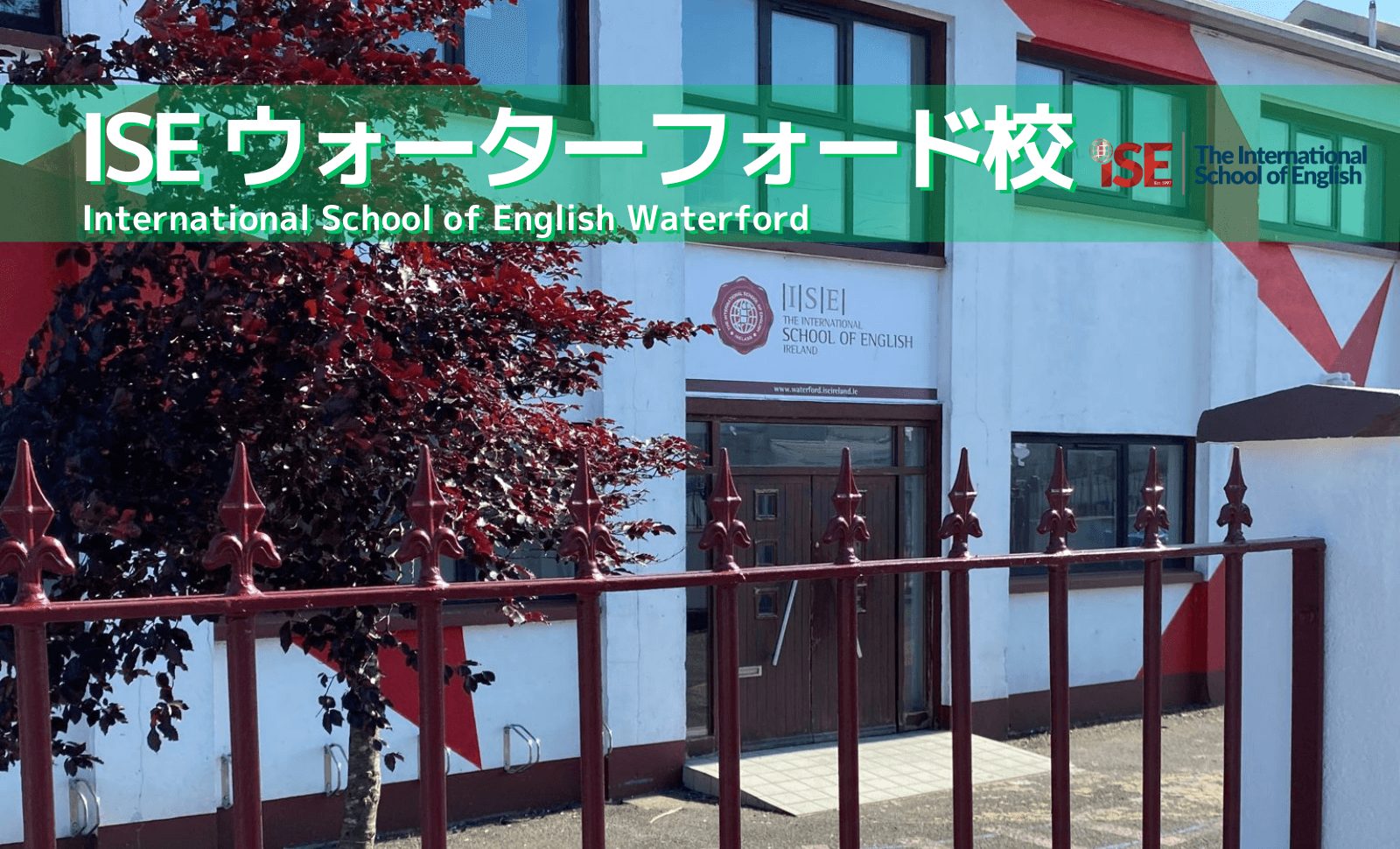 学校外観