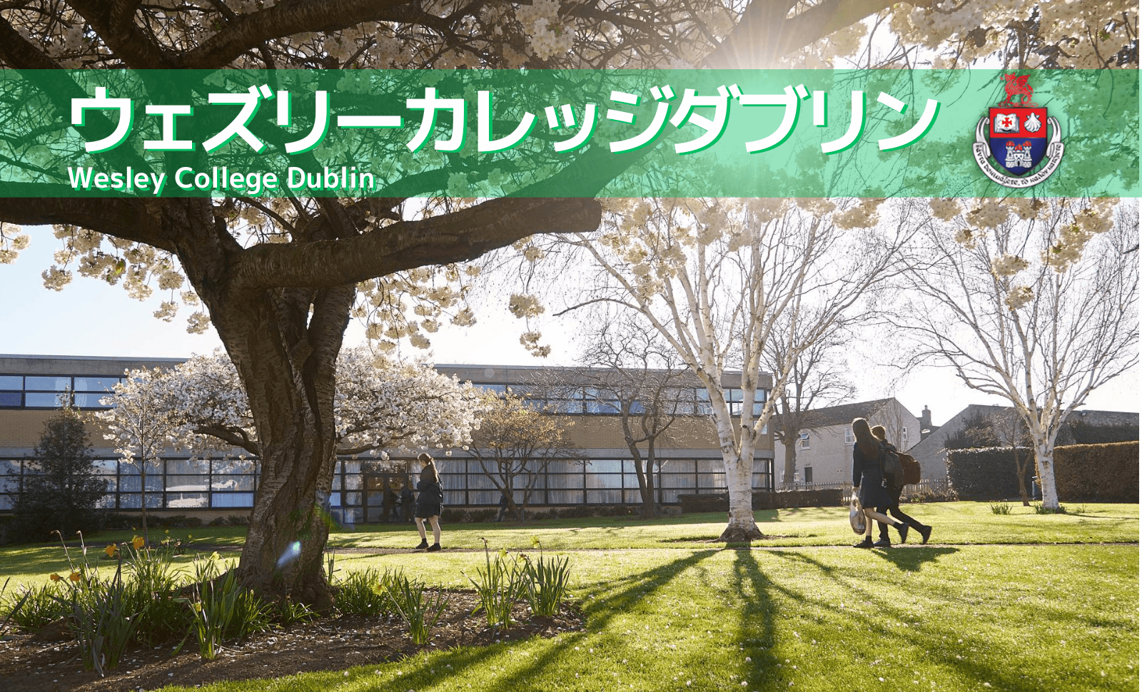 Wesley College Dublin学校風景